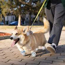 20双/包一次性防水宠物鞋狗靴适用于猫和小型犬户外防脏可调节有弹性、亲肤、便携、高帮设计，全面保护脚和腿（绷带颜色随机） - 彩色 - 查看 4