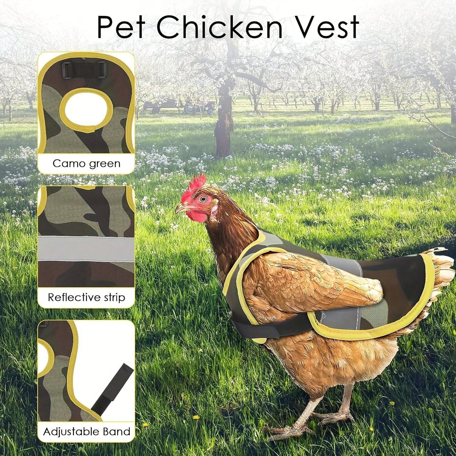 Pet Clothing For Chickens Reflective Vest And Apron For Chickens