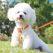 Cute Pet Harness And Leash Set For Small Dogs, Outdoor Walking Leash, Anti-Escape Cat Leash, Adjustable Cat Vest Suitable For All Seasons - Orange - View 6