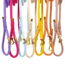 Pet Fashionable Personalized Gold Color Zinc Alloy Clasp Heavy Duty Handmade Nylon Leash For Dogs, Polyester Rope Durable Strong Dog Lead, Suitable For Large & Medium Pets, Collar And Training Accessories