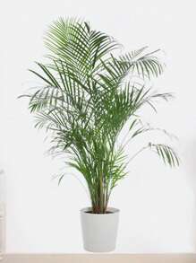 1pc Artificial Green Plant Wall Sticker, Potting Decoration For Living Room, Entrance, Home Adhesive Decorative Paper