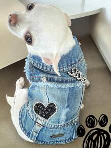 CHALECO ABRIGO HOODIE DENIM PARA MASCOTA PERRO Y GATO - Azul - Ver 1