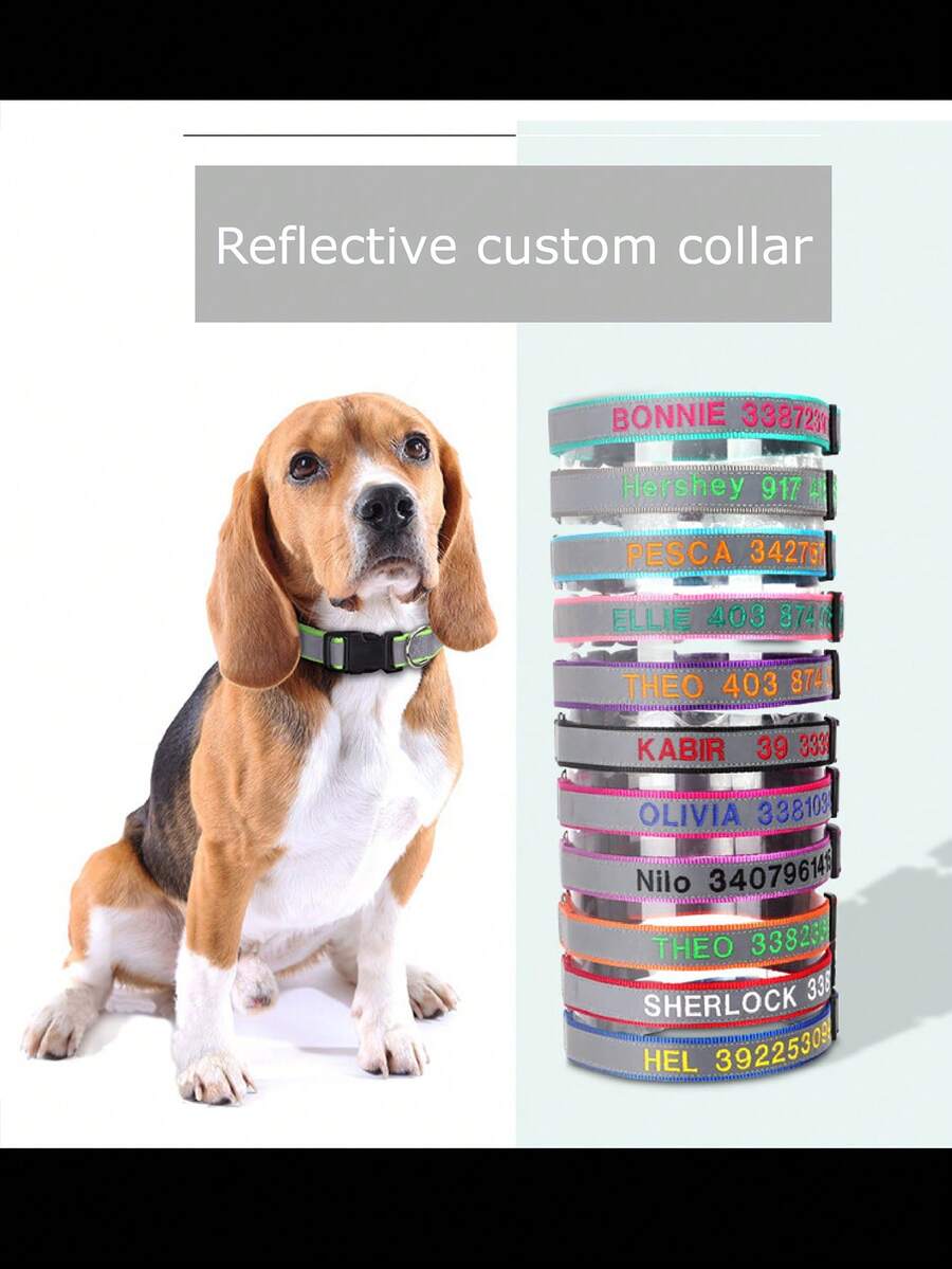Embroidered Nylon Dog Collar Free Custom Dogs Collar Reflective Pet ID