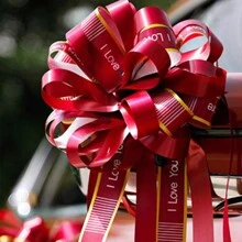 10 件装婚礼装饰丝带丝带缎带婚车司机丝带蝴蝶结开门把手装饰球形花、生日派对、派对、圣诞节装饰礼盒、礼品花包装蝴蝶结丝带 - 彩色 - 查看 14