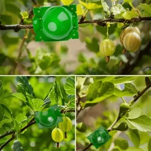 10pcs Tree Root Growing Box, Rooting Ball Grafting Tools, High Pressure Plant Propagation, Air Layering Pods, Grafting Ball Device For Plant Cutting Seedlings - Green - View 4
