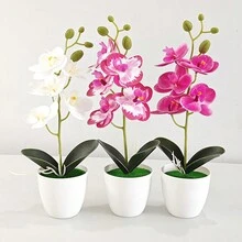 Cây cảnh phong lan bướm giả có trái cây Hoa giả Cây nhân tạo Cây trồng trong chậu Hoa giả để trang trí bàn, nhà, khách sạn, sân vườn, nhà hàng và đám cưới - Phalaenopsis 5 hoa - Xem 5