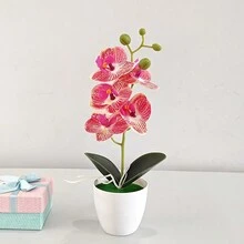 Cây cảnh phong lan bướm giả có trái cây Hoa giả Cây nhân tạo Cây trồng trong chậu Hoa giả để trang trí bàn, nhà, khách sạn, sân vườn, nhà hàng và đám cưới - Phalaenopsis 5 hoa - Xem 9