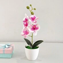 Cây cảnh phong lan bướm giả có trái cây Hoa giả Cây nhân tạo Cây trồng trong chậu Hoa giả để trang trí bàn, nhà, khách sạn, sân vườn, nhà hàng và đám cưới - Phalaenopsis 5 hoa - Xem 10