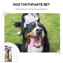 1 Set  Kit De Limpieza / Cuidado Dental Para Perro Sabor Carne de res, kit de cepillo de dientes y pasta dental para mascotas, cuidado y limpieza oral para gatos y perros, pasta de dientes para perros, herramienta de limpieza para dientes de perros - Amarillo - Ver 6