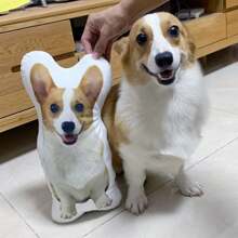 1pc Personalized Pillow With Photo Custom Body Shape Picture Pillows Customized Valentines Christmas Memorial Gifts - Double Sided Print 16 Inch,Multi-Functional,Reusable,Ornamental,Exquisite,Stylish,Adorable,Colorful,Cute,Funny,Custom,Personalized,Customized,Unique,Ideal Gifts For Her,Ideal Gifts For Him,For Anniversaries,For Birthdays