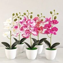 Cây cảnh phong lan bướm giả có trái cây Hoa giả Cây nhân tạo Cây trồng trong chậu Hoa giả để trang trí bàn, nhà, khách sạn, sân vườn, nhà hàng và đám cưới - Phalaenopsis 5 hoa - Xem 6