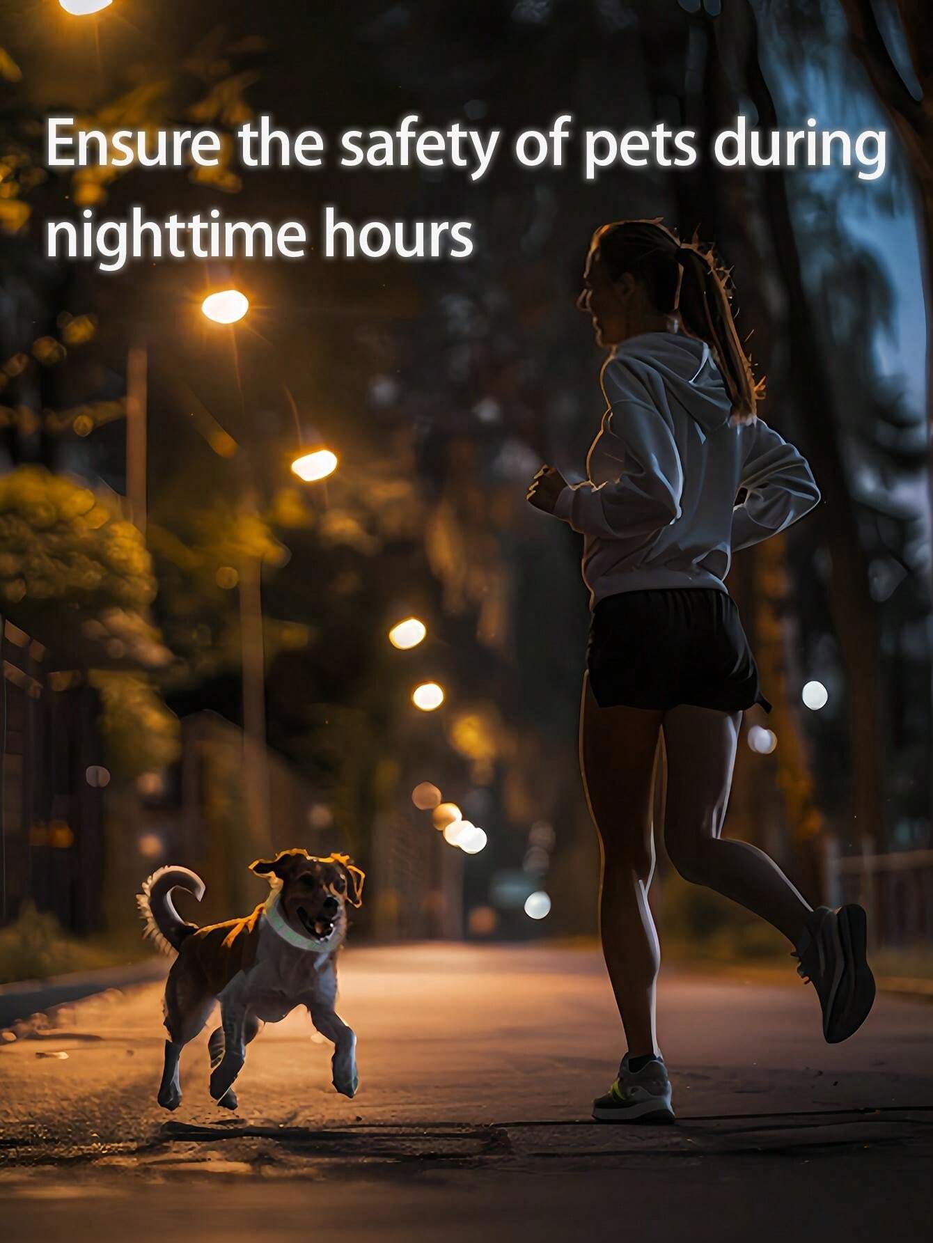 Haftowana nylonowa obroża dla psa Darmowa niestandardowa obroża dla psa