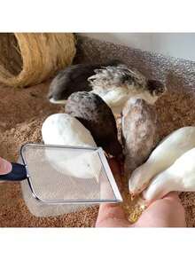 不銹鋼貓砂鏟,孔寬10mm,完美適用於砂、木屑、海灘、寵物商店或農場 - 黑與白 - 查看 7