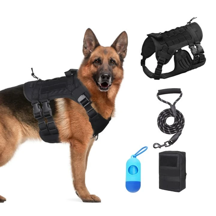 PartyKindom Haustier Abschlusskostüm - Doktorhut Mit Brille & Krawatte