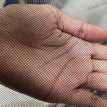 Decorative Fans - Nhiều màu - Xem 5