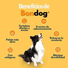 Bondog Dog Treats - White - View 3