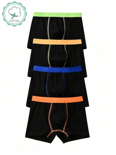 Young Boy 干净彩色 4 条装内裤