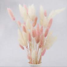 120 peças/Conjunto Grama de Pampa Seca Rosa e Creme, Decoração Boêmia para Casa, Dia dos Namorados, Presentes de Aniversário, Formatura, Decoração de Outono, Plantas Artificiais