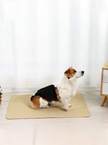 1入組可清洗狗狗專用尿墊，防滑幼犬訓練墊，適用於產崽、上廁所、斷奶訓練