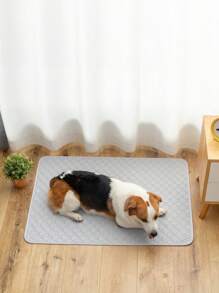 1入組可清洗狗狗專用尿墊，防滑幼犬訓練墊，適用於產崽、上廁所、斷奶訓練