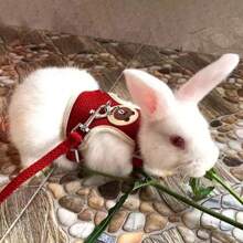 1 pieza Correa de conejo, arnés para mascotas, ajustable, tipo de espalda, tipo de chaleco, correa de pecho anti-escape, adecuado para gatos y conejos, correa para caminar, suministros universales para mascotas