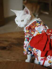 1 件带钩环扣的宠物服装，日本原创设计，适合春夏秋冬，狗猫服装 - 白色 - 查看 7