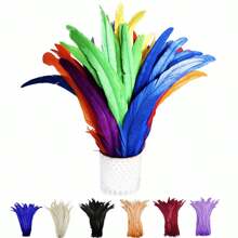 15Pieces 25-30CM Colored Artificial Rooster Feathers Crafts Sewing DIY Carnival Costume Plume Wedding Dresses Handmade Accessories Party Home Decoration - Multicolor - View 4