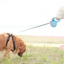 1 pieza Correa Retractil Perro Mascota Largo: 5metros Hasta 20 Kg, Correa retráctil para mascotas para perros para exteriores - Rosa - Ver 7