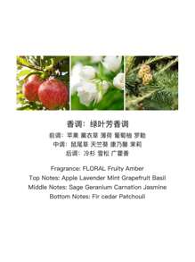 100ml Pheromone Perfume For Men, Enhance And Release Your Charms, Refreshing And Long-Lasting Fragrance, A Perfect Christmas Gift For Him Father's Day Gift - VL8805-1 - مشاهدة 4