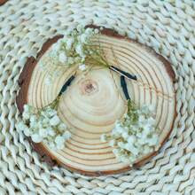 2-20pieces Baby's Breath Hair Pin, Gypsophila Hair Pin, Baby's Breath Bridal Hair Pin, Bridal Hair Accessories, Dried Flower Hair Pins