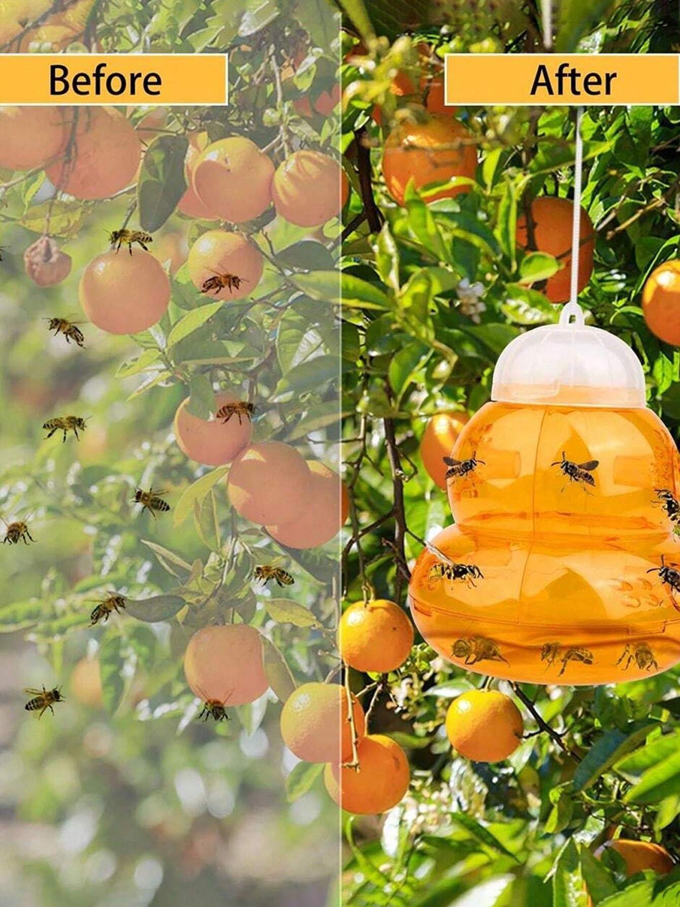 Batteri Lattici Per Carpe Koi - 10 Litri, Protezione Da Malattie E Rafforzamento Immunitario - Foto 3