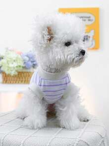 PETCIRCLE 1 件宠物服装，狗/猫背心背带，可爱条纹图案 - 紫色和白色条纹 - 彩色 - 查看 2