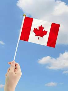 1入組多國手揮旗，手揮旗，14*21公分(5.51*8.27英寸)聚酯纖維小型手揮旗，附塑料旗桿修剪 - 彩色 - 查看 27