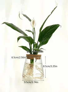1 件桌面创意水培植物玻璃花瓶，透明简易水生种植容器，适用于绿萝桌面花架 - 無色 - 查看 5