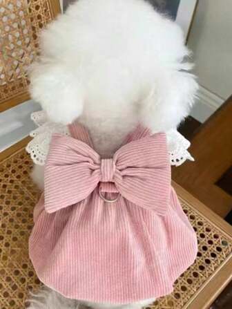 粉色灯芯绒蕾丝南瓜裙，适合猫狗，适合秋冬季