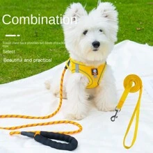 2入組，1套狗繩，防爆背心式牽繩，小型犬貝爾 Teddy Pommy小狗，胸帶，狗鏈，配1.5米扁繩 - 紫色 - 查看 2