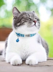 Coleira personalizada para gatos com placa de identificação em aço inoxidável, coleira ajustável de nylon com estampa de pata refletiva multicolorida, sino e pingente de identificação personalizado. Ornamental, gravada, em aço inoxidável, para gatos fofos, etiquetas personalizadas para gatos, coleira personalizada para gatos, coleiras personalizadas para cães, presentes ideais para ela, família, amigos, amantes de animais de estimação, para aniversários, para inauguração de casa. Ornamental, gravada, moderna, fofa, personalizada, para animais de estimação, para aniversários, coleiras, guias e peitorais personalizados para animais de estimação, local, vibrações de férias, inspiração para vida ao ar livre, design divertido para animais de estimação. - Multicolorido - Ver 4