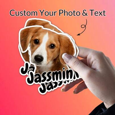 1/4/10/20/50/100pcs Custom Photo Pet Sticker Customized Name Stickers Personalized Your Pet Photo Dog Cat Name Sticker Die Cut Customizable Waterproof Vinyl Sticker For Laptop Water Bottle Phone Case Merchandise Decor School, Home, Office, Custom, Personalized, Unique, Ideal Gifts For Him, For Anniversaries, For Valentine's Day, For Mother's Day, For Weddings, For Housewarming, School Essentials, Customized Stickers, Look Glamour, Home & Living, Christmas Home Atmosphere, Autumn Home Refresh, Xmas Decoration