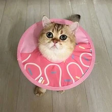1 件伊丽莎白锥形项圈，猫狗防舔头套，防止绝育 - 彩色 - 查看 4