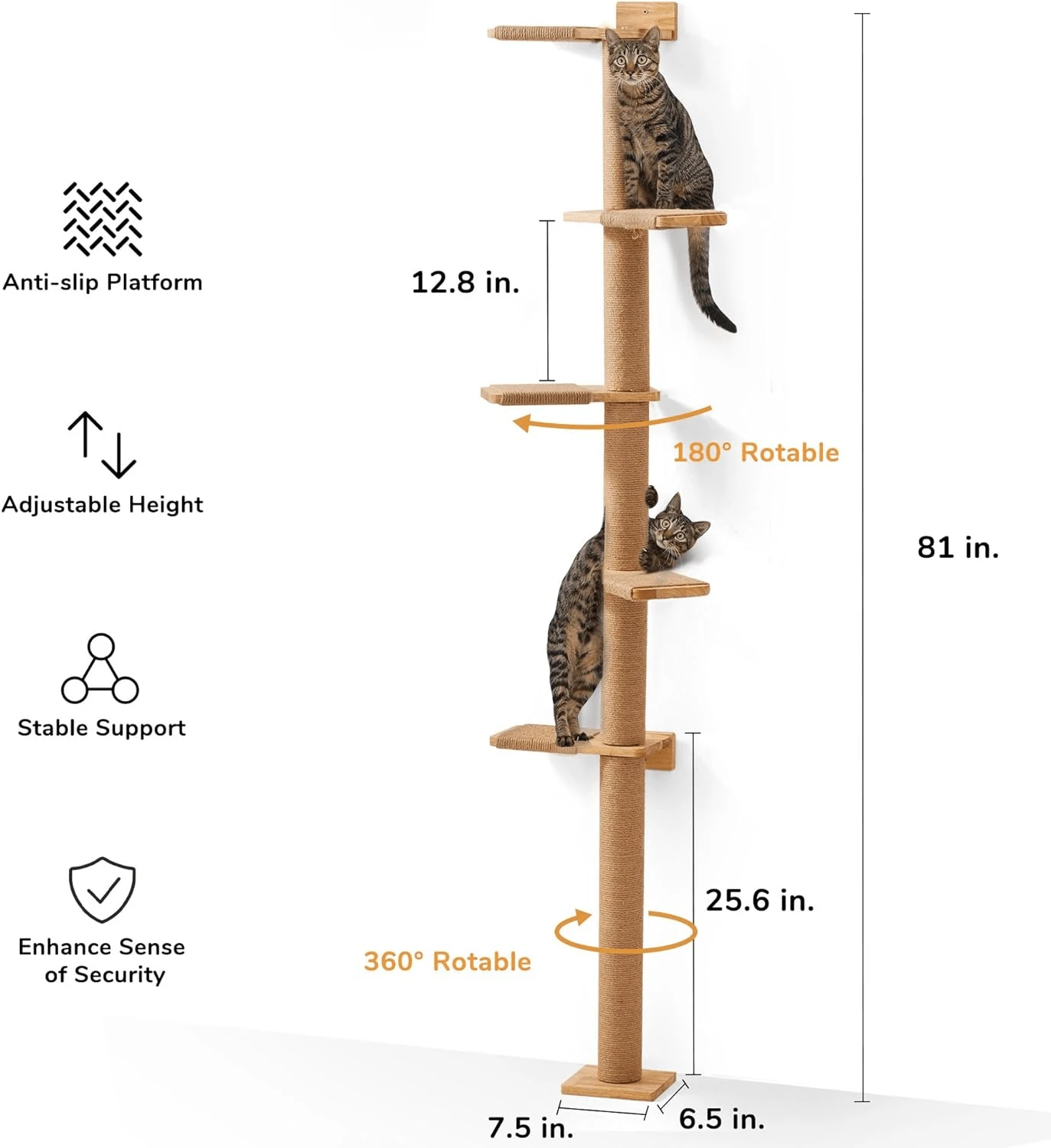 ML Premium 4 | Come Creare Carte Personalizzate - Foto 7