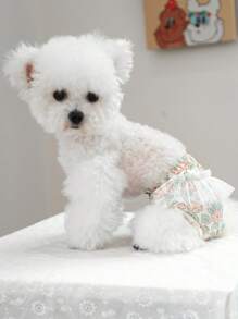 1件装宠物用品狗/猫花卉叶印花生理裤，薄款透气月经裤，适合小型犬 - 彩色 - 查看 6