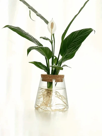 1 件桌面创意水培植物玻璃花瓶，透明简易水生种植容器，适用于绿萝桌面花架