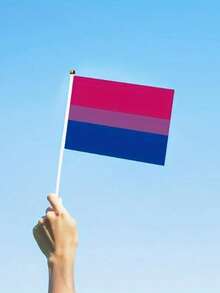 1入組多國手揮旗，手揮旗，14*21公分(5.51*8.27英寸)聚酯纖維小型手揮旗，附塑料旗桿修剪 - 彩色 - 查看 25