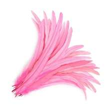 15入組35-40cm有色公雞尾羽毛，DIY縫紉服飾配飾白色羽毛擺設婚禮長羽毛裝飾中心 - 彩色 - 查看 22