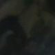 Z2