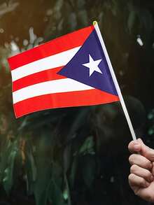 1入組多國手揮旗，手揮旗，14*21公分(5.51*8.27英寸)聚酯纖維小型手揮旗，附塑料旗桿修剪 - 彩色 - 查看 13