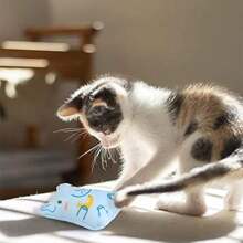 Jouets pour chat à l'herbe à chat pour chats d'intérieur -5 sortes de jouets à mâcher pour chats en peluche interagissants à la teinture pour chat/chaton rembourrée à l'herbe à chat jouet doux pour animal de compagnie (formes animales)