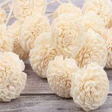 10pcs Flower Reed Diffuser Sticks Aromatic Diffuser Replacements And Refill Rattan Sticks Fragrance Accessories,Aromatherapy,House Freshener,Diffuser,Gift,Home Decor Gifts Birthday Graduation