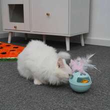 Interactive Cat Toy Ball With Bell, Feather And Weighted Bottom, Pet Toy - Multicolor - View 1