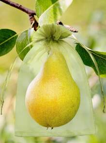 50 Pieces Fruit Protection Bags Fruit Netting Bags With Drawstring,Garden Fruit Cover Mesh Bag To Protect Plants From Pest Birds Squirrels - White - View 5